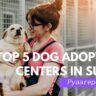 Top 5 Dog Adoption Centers in Surat